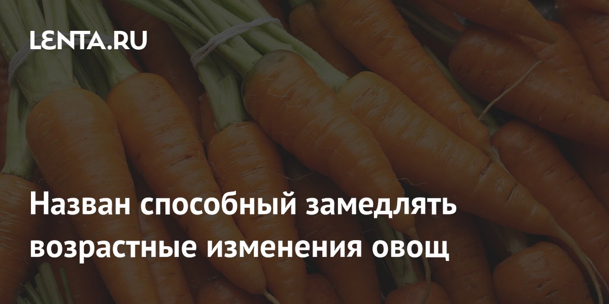 Назван способный замедлять возрастные изменения овощ