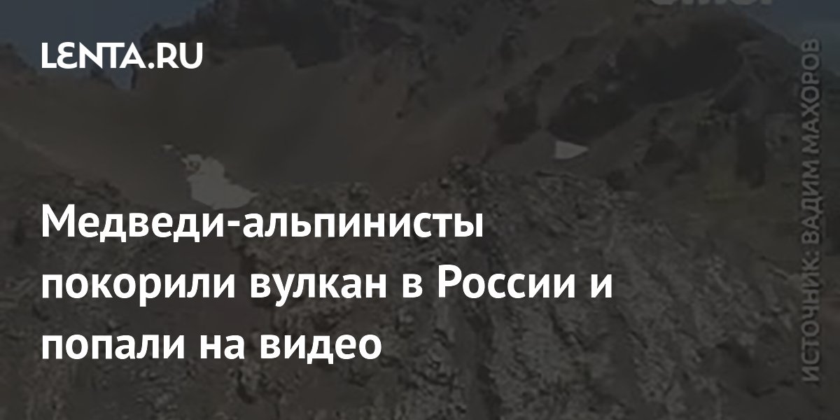 Медведи-альпинисты покорили вулкан в России и попали на видео