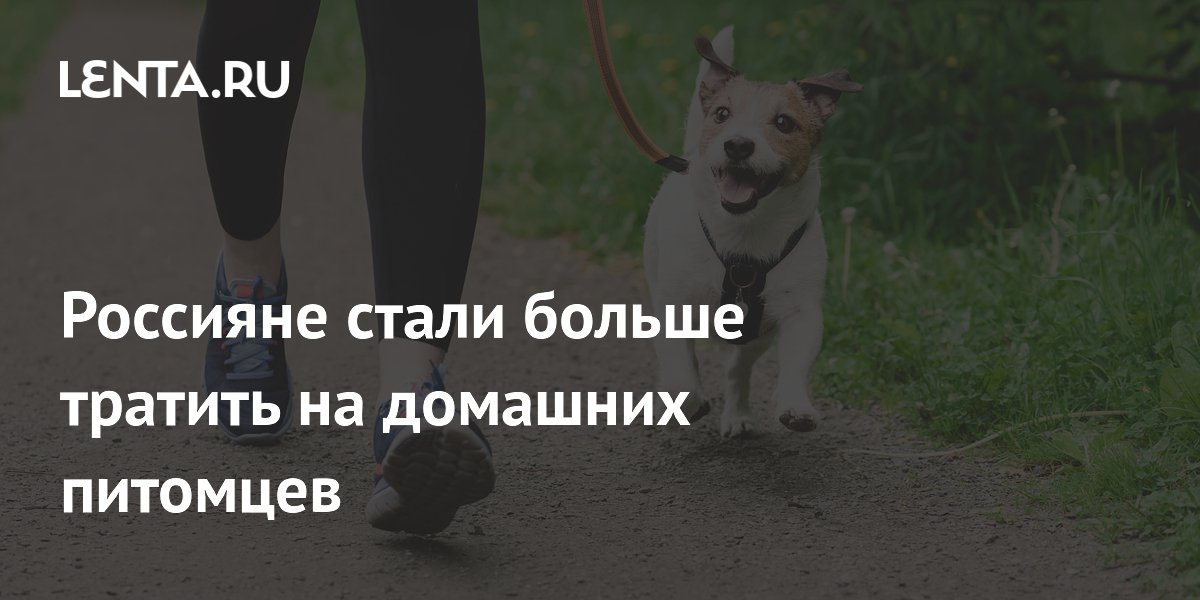 Россияне стали больше тратить на домашних питомцев