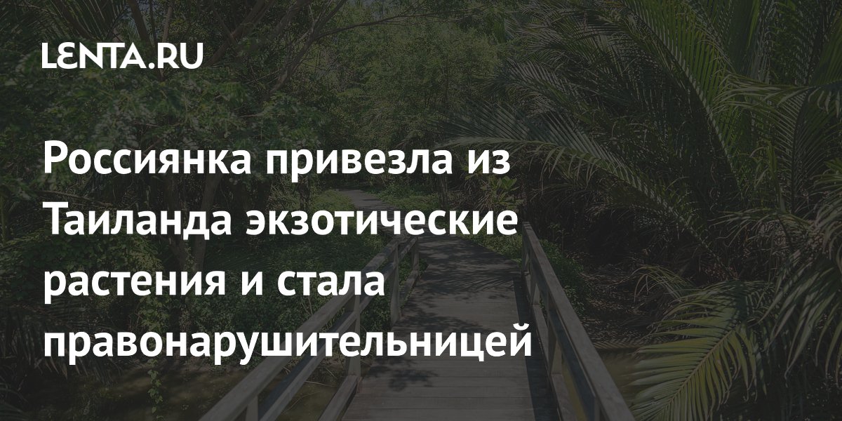 Россиянка привезла из Таиланда экзотические растения и стала правонарушительницей