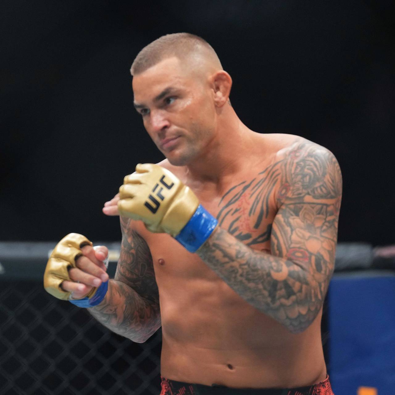 Звезда UFC попросил помощи из-за проблем с алкоголем