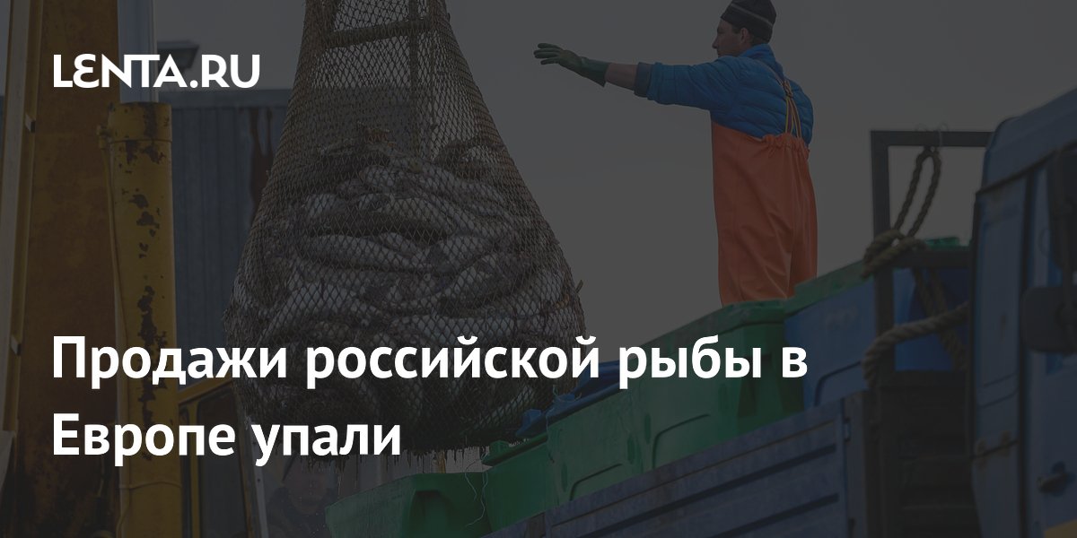 Продажи российской рыбы в Европе упали