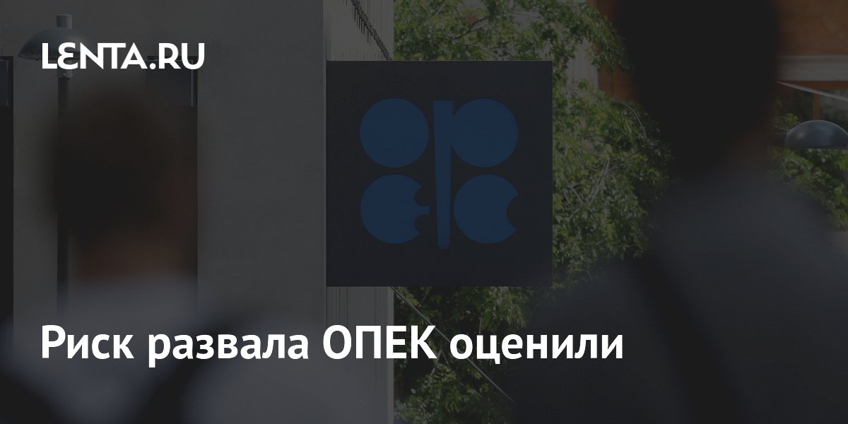 Риск развала ОПЕК оценили