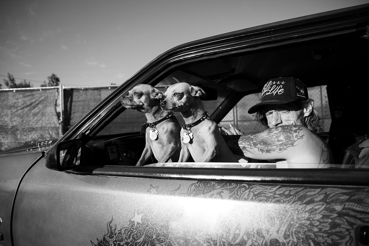 «Уличное фото», серия, серебряная медаль