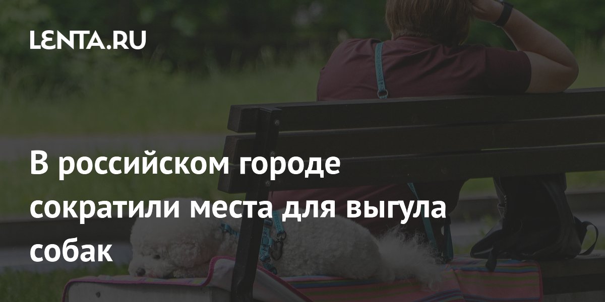 В российском городе сократили места для выгула собак