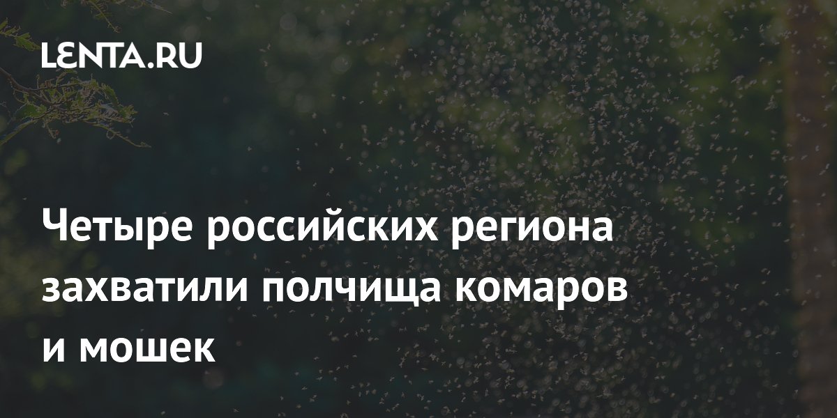 Четыре российских региона захватили полчища комаров и мошек