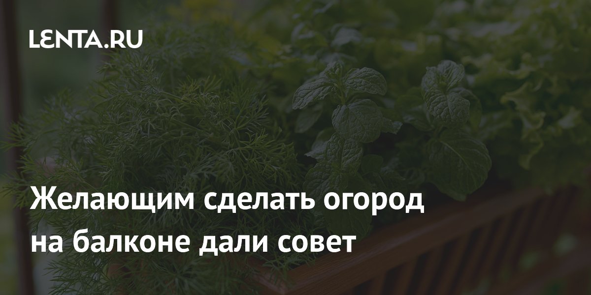 Желающим сделать огород на балконе дали совет