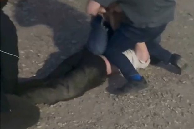 Вводная картинка