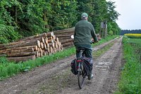 Сделки с недвижимостью онлайн, новое требование при переводах через СБП и защита от мошенников. Что изменится в России с 1 июля? 