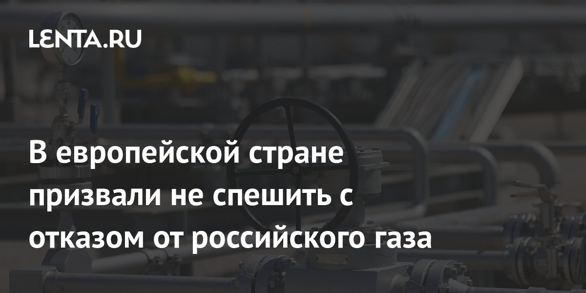 В европейской стране призвали не спешить с отказом от российского газа