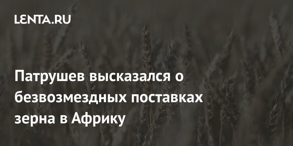 Патрушев высказался о безвозмездных поставках зерна в Африку
