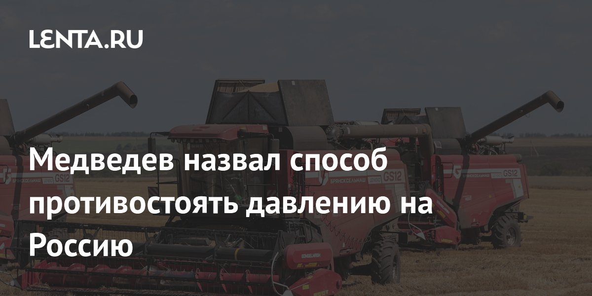 Медведев назвал способ противостоять давлению на Россию