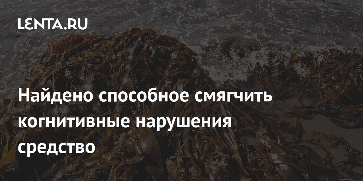Найдено способное смягчить когнитивные нарушения средство