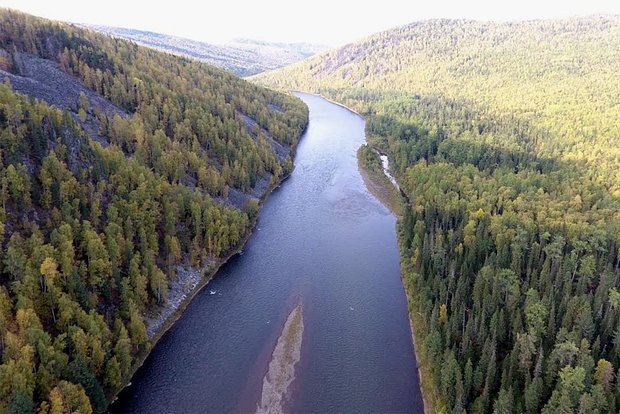 Вводная картинка