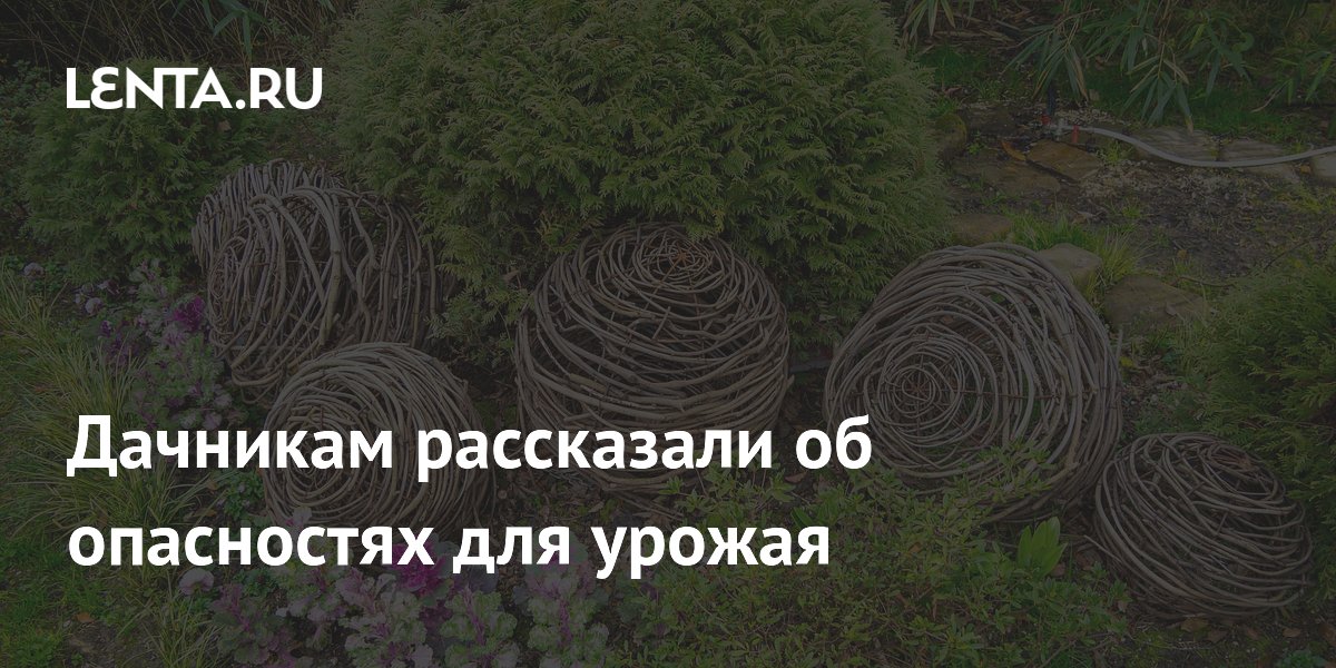 Дачникам рассказали об опасностях для урожая