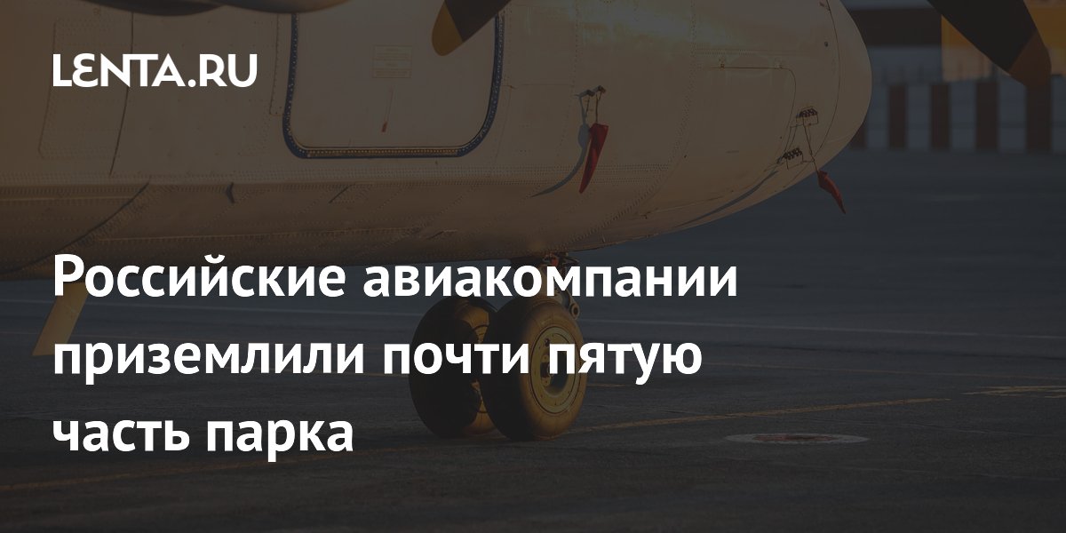 Российские авиакомпании приземлили почти пятую часть парка