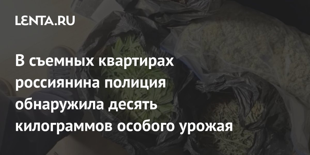 В съемных квартирах россиянина полиция обнаружила десять килограммов особого урожая
