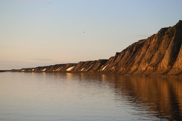Вводная картинка