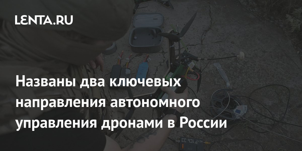 Названы два ключевых направления автономного управления дронами в России