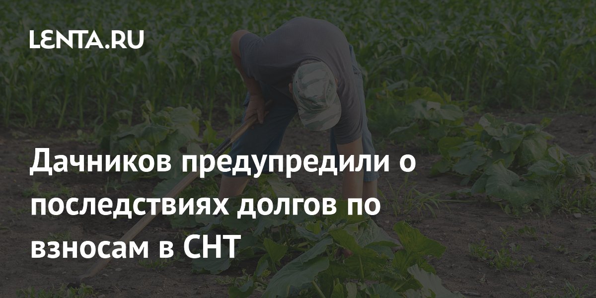 Дачников предупредили о последствиях долгов по взносам в СНТ