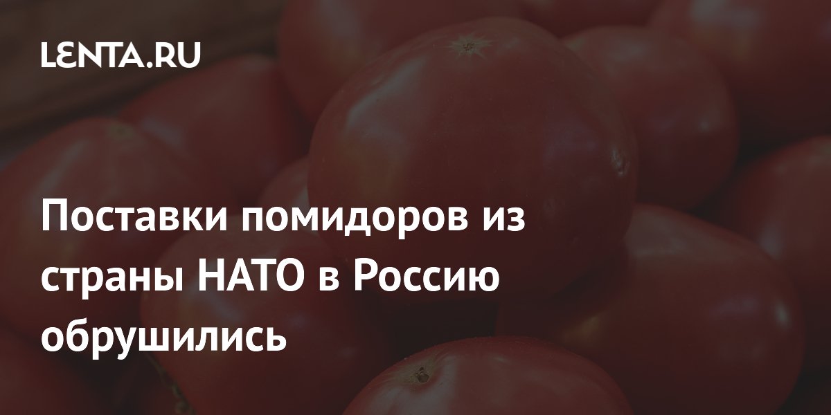 Поставки помидоров из страны НАТО в Россию обрушились