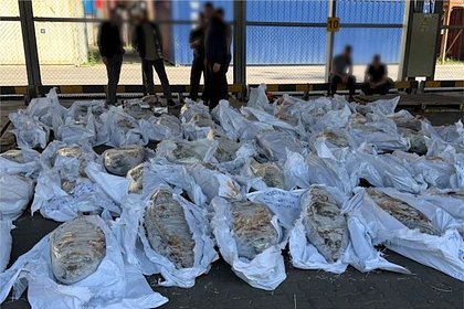 Раскрыты богатства причастного к контрабанде 500 килограммов кокаина