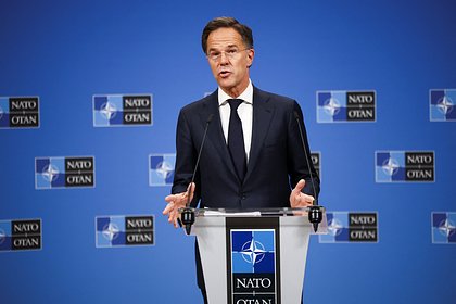 В Совфеде оценили влияние генсека НАТО на переговоры по Украине