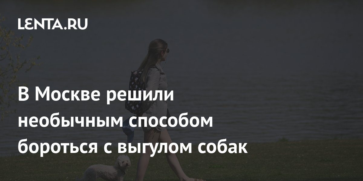 В Москве решили необычным способом бороться с выгулом собак