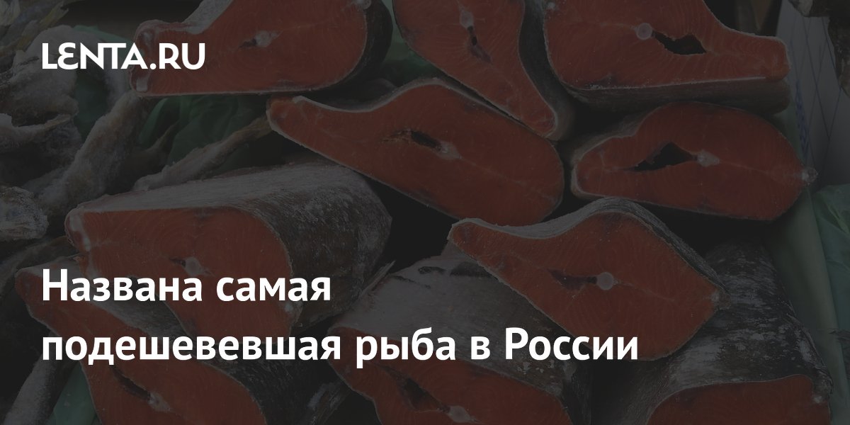 Названа самая подешевевшая рыба в России