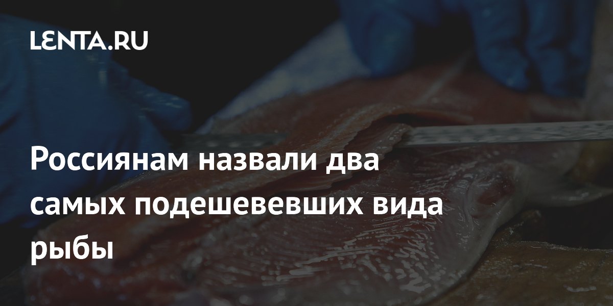 Россиянам назвали два самых подешевевших вида рыбы