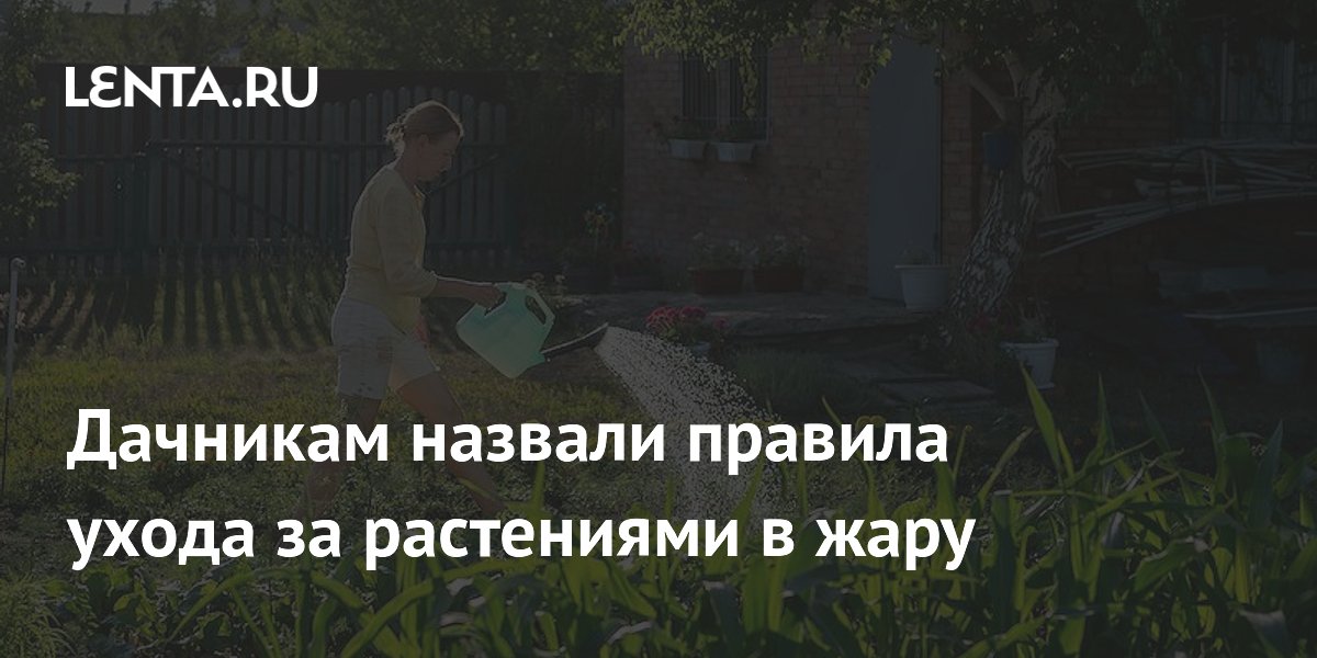 Дачникам назвали правила ухода за растениями в жару