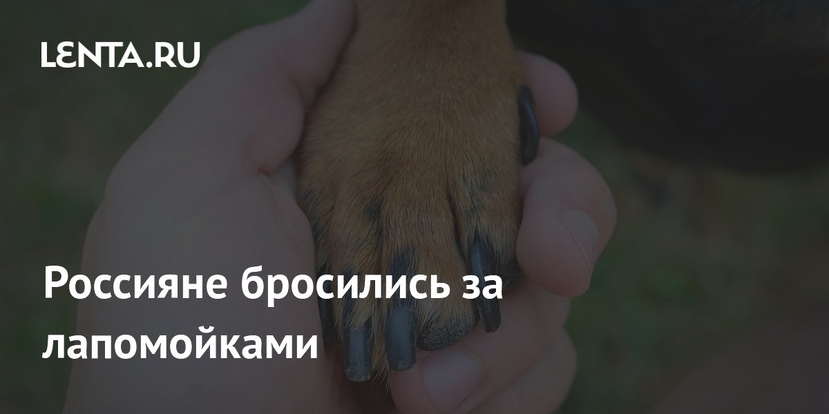 Россияне бросились за лапомойками