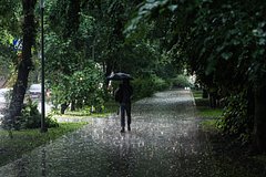 news_image
