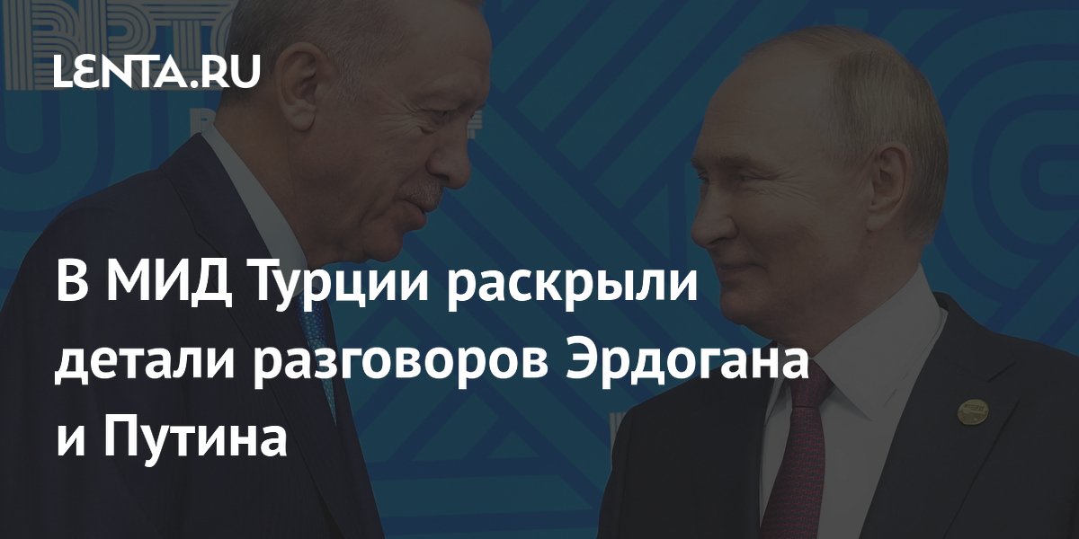 В МИД Турции раскрыли детали разговоров Эрдогана и Путина