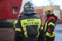 news_image