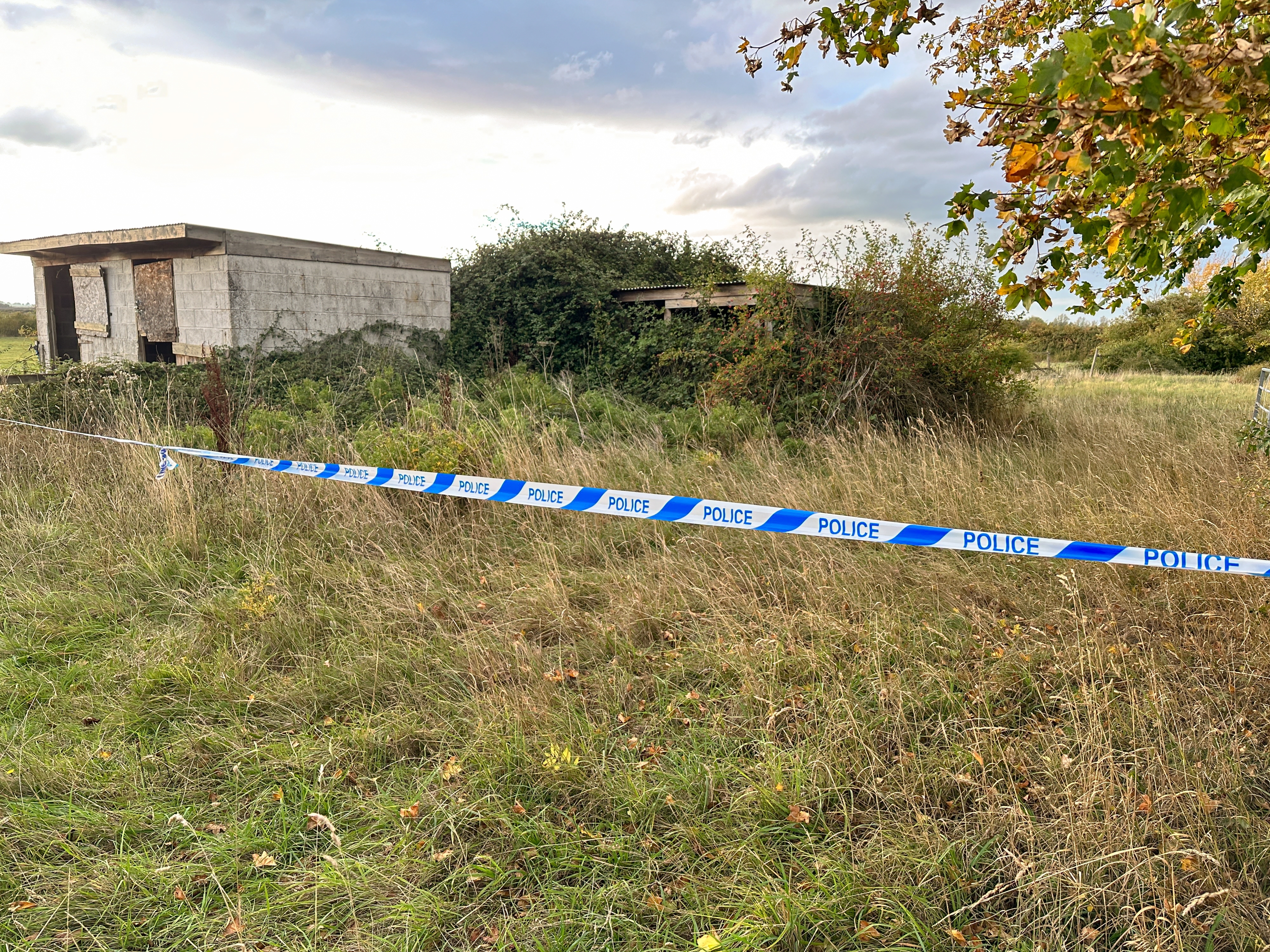 Под&nbsp; Петербургом жестоко расправились с 12-летней девочкой, ушедшей за грибами. Появился первый подозреваемый