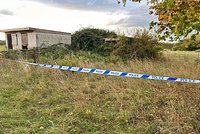Под Петербургом жестоко расправились с 12-летней девочкой, ушедшей за грибами. Появился первый подозреваемый 