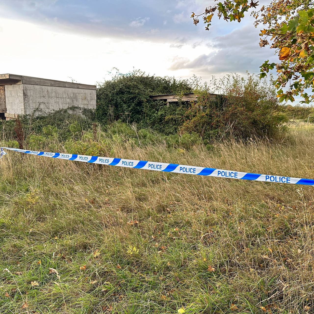 Под Петербургом жестоко расправились с 12-летней девочкой, ушедшей за грибами. Появился первый подозреваемый