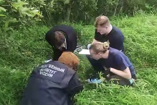 Вводная картинка