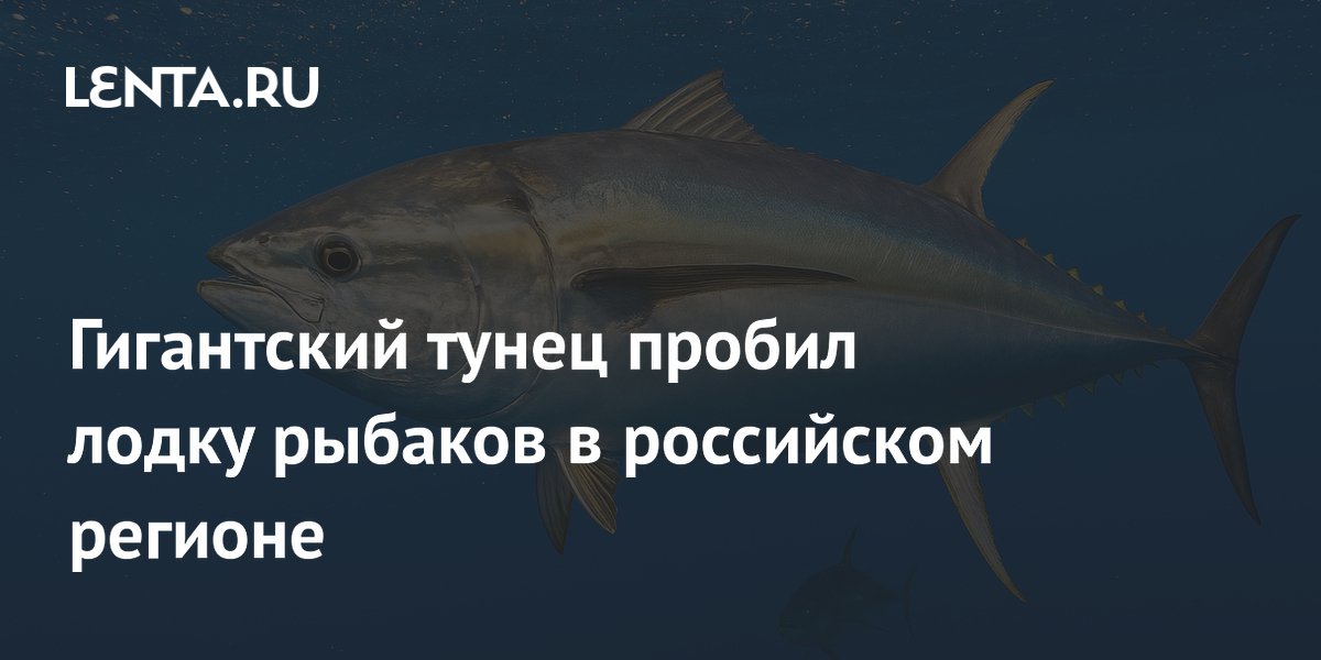 Гигантский тунец пробил лодку рыбаков в российском регионе