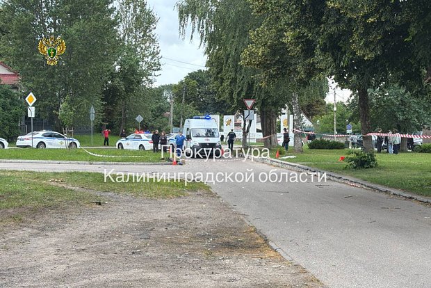 Фото: Прокуратура Калининградской области / Telegram
