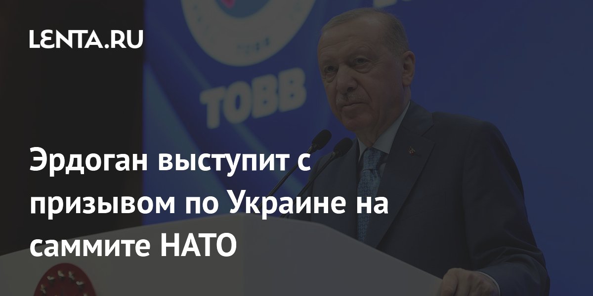 Эрдоган выступит с призывом по Украине на саммите НАТО