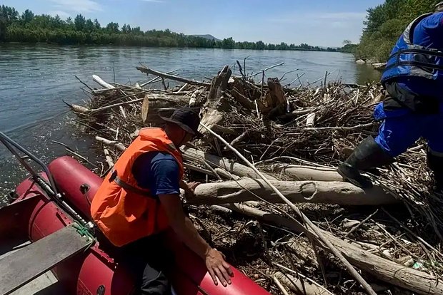 Вводная картинка