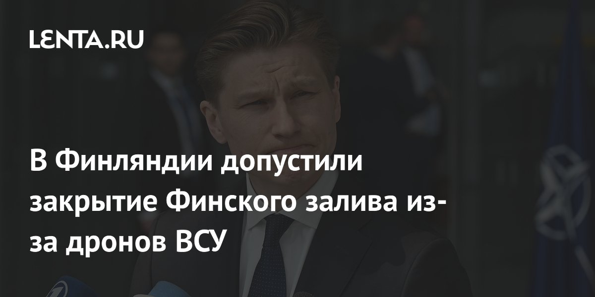 В Финляндии допустили закрытие Финского залива из-за дронов ВСУ
