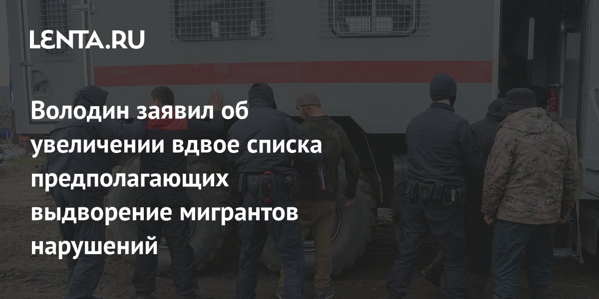 Володин заявил об увеличении вдвое списка предполагающих выдворение мигрантов нарушений