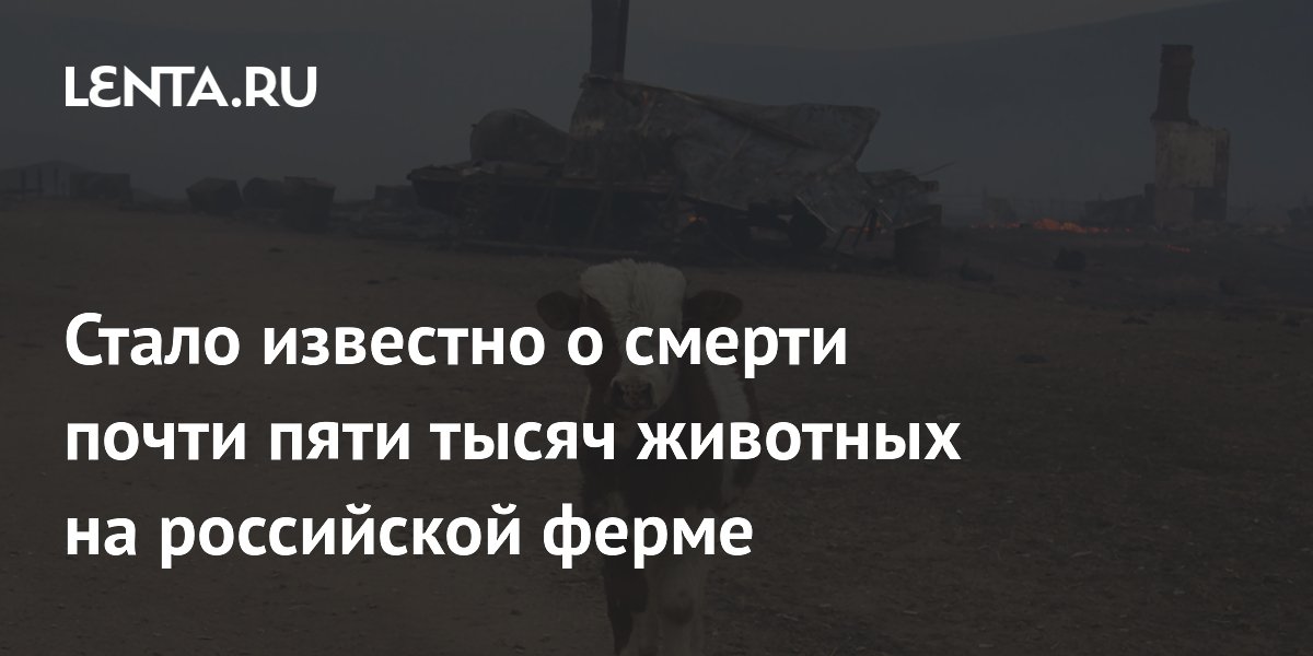 Стало известно о смерти почти пяти тысяч животных на российской ферме