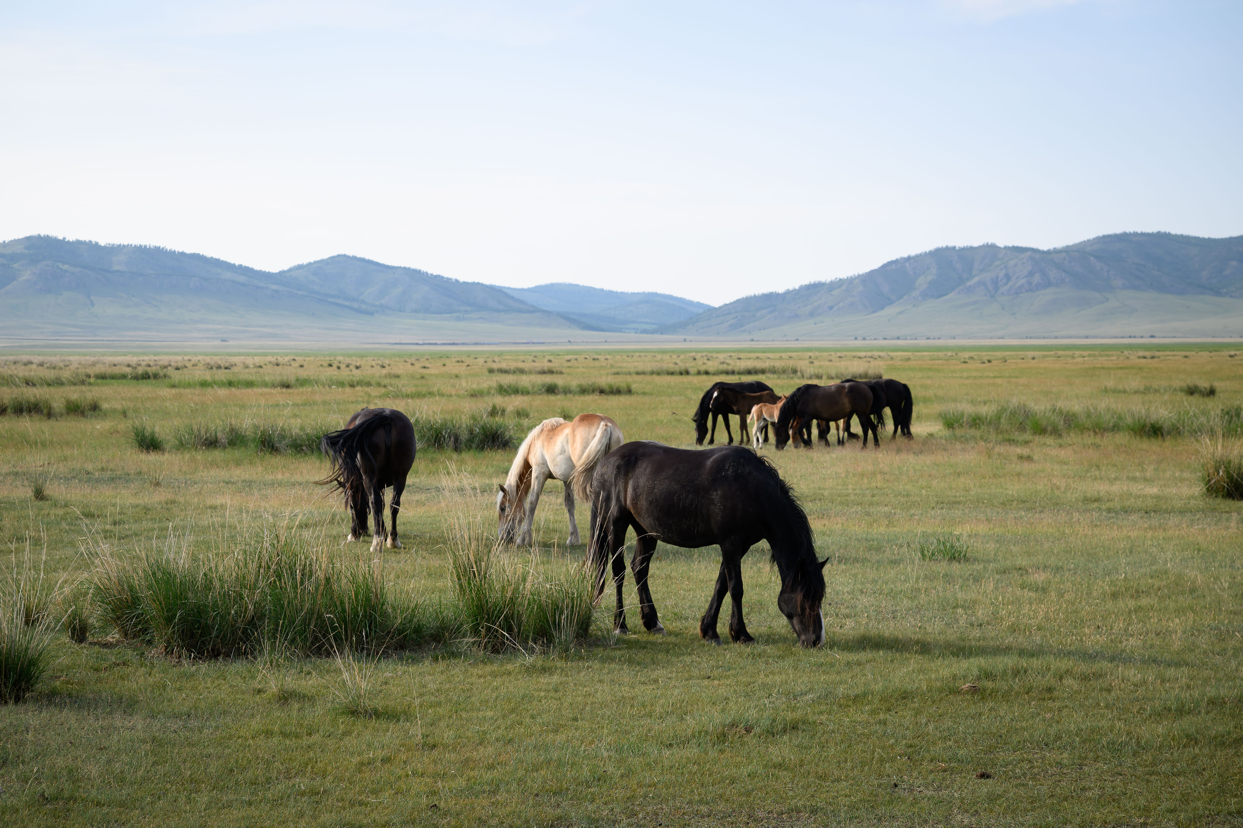 Khakassia Tourism Growth Leads Siberian Region in 2026