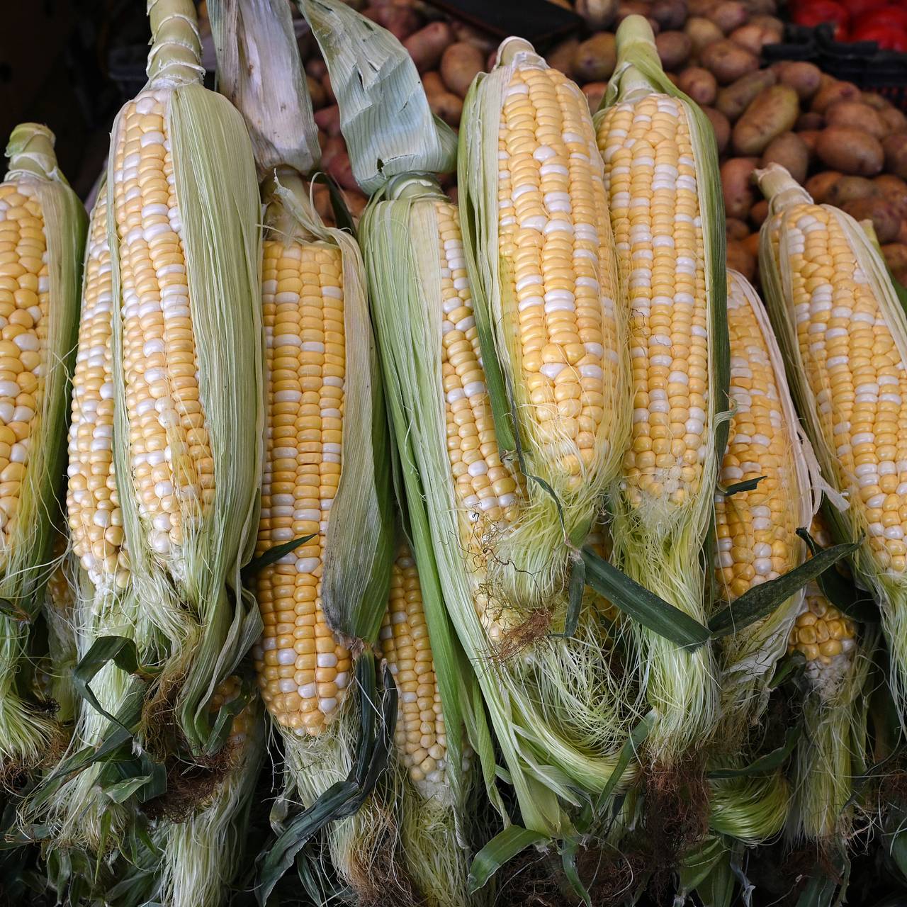 Мировые цены на популярный продукт питания заметно выросли