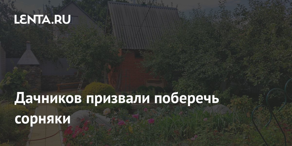 Дачников призвали поберечь сорняки