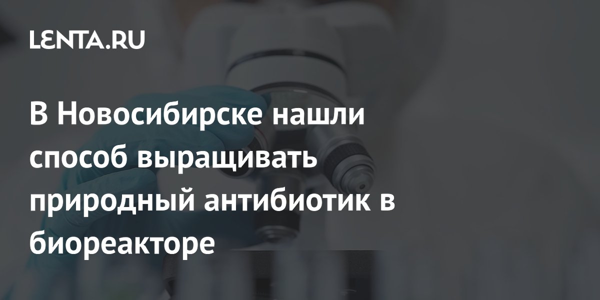 В Новосибирске нашли способ выращивать природный антибиотик в биореакторе